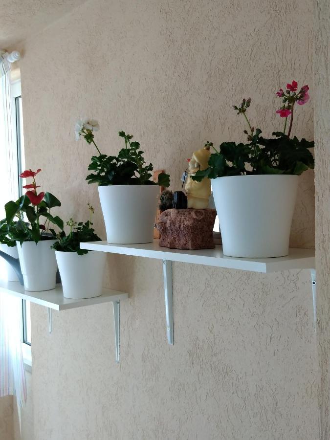 Heart Of Makarska Apartment Bagian luar foto
